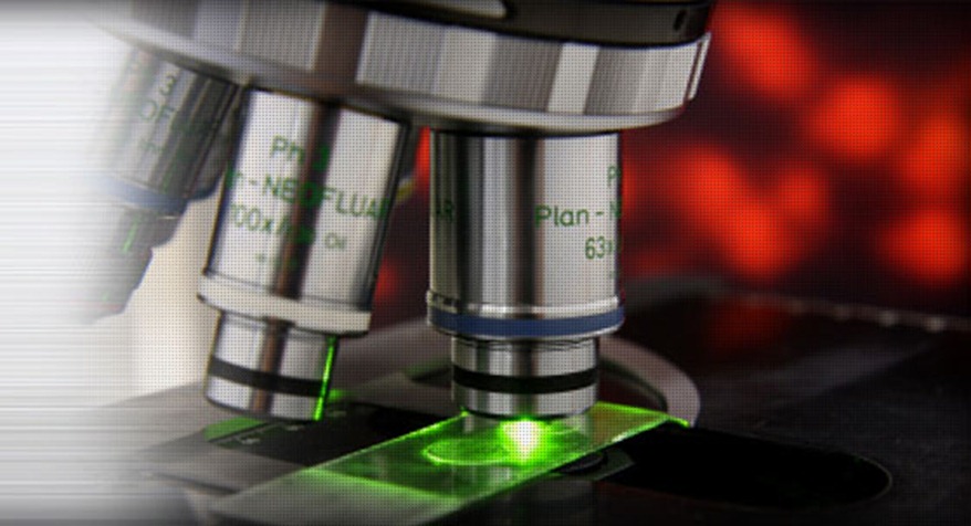 microscopy microscopy